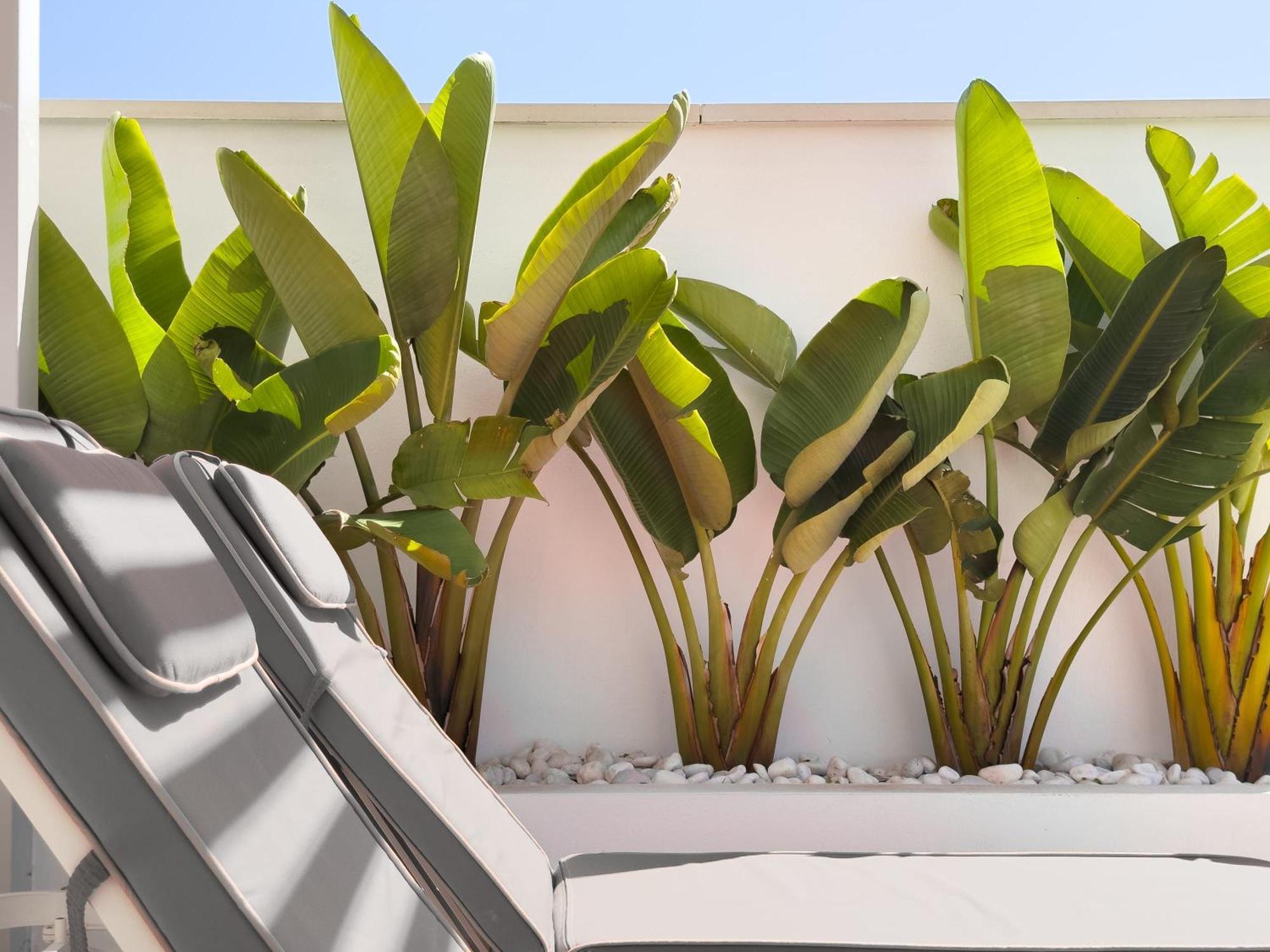 Beachfront Luxury Rooftop Penthouse Wifi Pools Grill I O Nac Paddle * Marbella